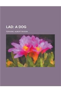 Lad; A Dog
