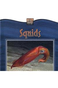 Squids