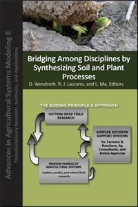 Bridging Among Disciplines by Synthesizing Soil and Plant Processes