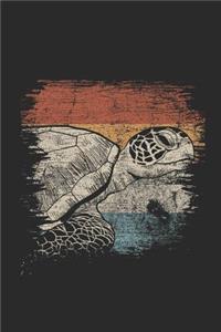 Turtle