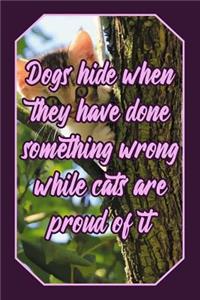 Dogs Hide When They Have Done Something Wrong While Cats Are Proud of It