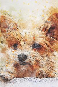 2019-2020 Academic Planner Weekly and Monthly Faithful Dog