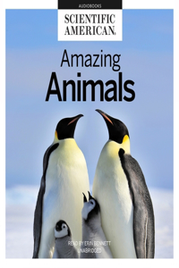 Amazing Animals Lib/E