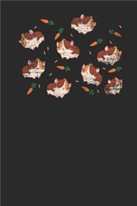 Guinea Pig Pattern