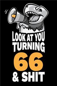 Look At You Turning 66 and Shit