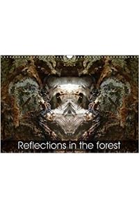 Reflections in the Forest 2018