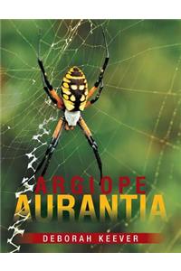 Argiope Aurantia