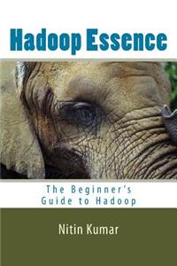 Hadoop Essence