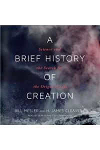 Brief History of Creation