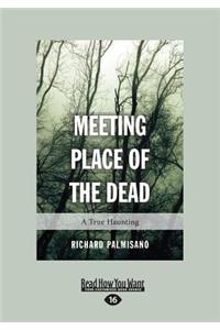 Meeting Place of the Dead: A True Haunting (Large Print 16pt)