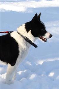 The Karelian Bear Dog Journal: 150 page lined notebook/diary