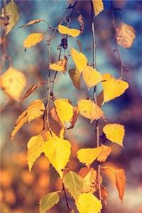 Yellow Leaves on a Birch Tree Journal