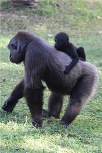 The Gorilla Back Ride Journal