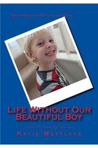 Life Without Our Beautiful Boy
