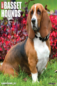 Just Basset Hounds 2021 Wall Calendar (Dog Breed Calendar)