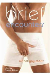 Brief Encounters: 69 Hot Gay Shorts