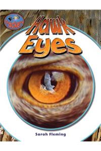 Hawk Eyes