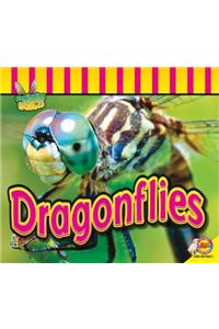 Dragonflies