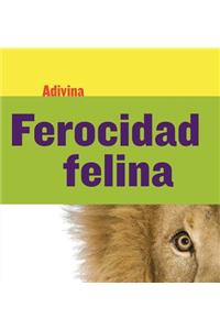Ferocidad Felina (Fiercely Feline)