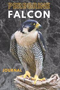Peregrine falcon journal &Notebook 6