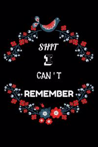 Shit I Can't Remember