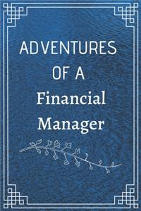 Adventure of a Financial Manager