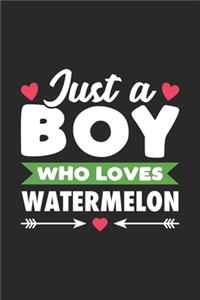 Just A Boy Who Loves Watermelon