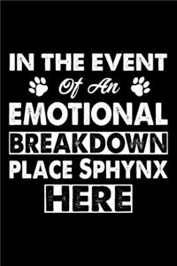 In The Event Emotional Breakdown Place Sphynx Here