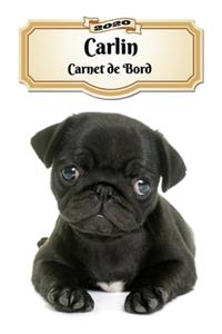 2020 Carlin Carnet de Bord