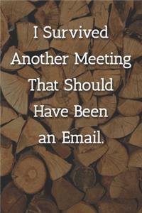 I Survived Another Meeting That Should Have Been an Email. Notebook