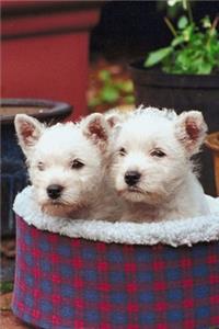 2020 Weekly Planner Two Pups Basket Dog Photo 134 Pages