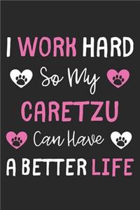 I Work Hard So My CareTzu Can Have A Better Life