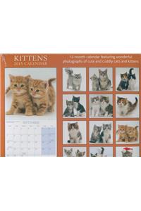 Kitten Portraites 2015 Wall Calendar 12x12