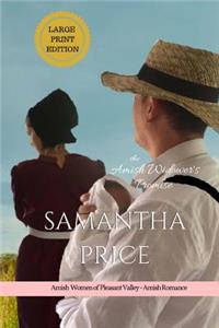Amish Widower's Promise LARGE PRINT