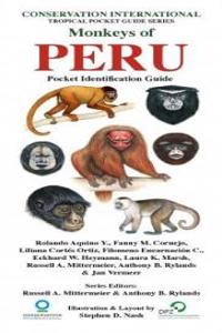 Monkeys of Peru