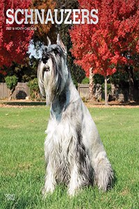 Schnauzers 2022 Square