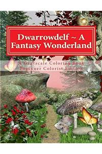 Dwarrowdelf a Fantasy Wonderland
