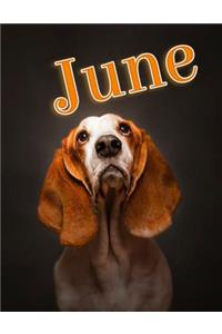 June