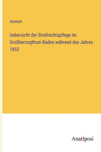 Uebersicht der Strafrechtspflege im Großherzogthum Baden während des Jahres 1852