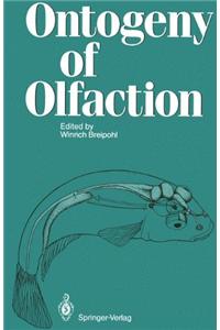 Ontogeny of Olfaction