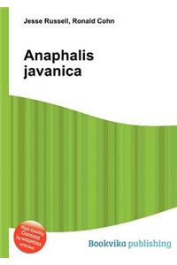 Anaphalis Javanica
