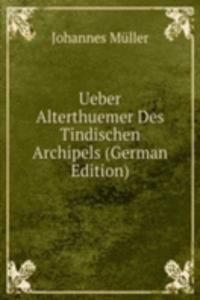 Ueber Alterthuemer Des Tindischen Archipels (German Edition)