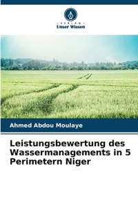 Leistungsbewertung des Wassermanagements in 5 Perimetern Niger