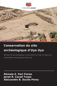 Conservation du site archéologique d'Uyo Uyo