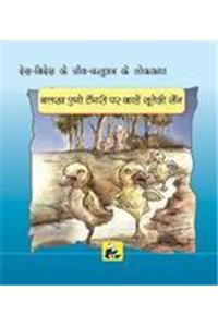 Desh-Videsh Ke Jeev-Jantuon Ki Lok-Kathaen - Batakhein Kyon Sothi Hei Ek Taang Par