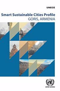 Smart Sustainable City Profile for Goris, Armenia