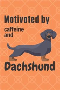 Motivated by caffeine and Dachshund