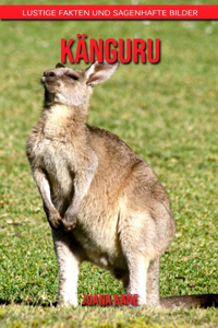 Känguru
