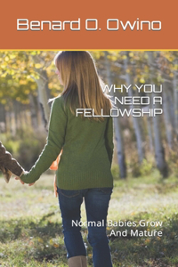 Why You Need a Fellowship