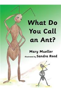 What Do You Call an Ant?